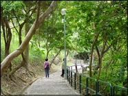 中葵涌公園