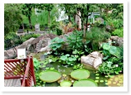 香港公園
