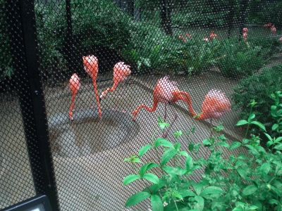 香港動植物公園