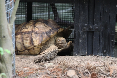 香港動植物公園