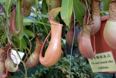 香港動植物公園